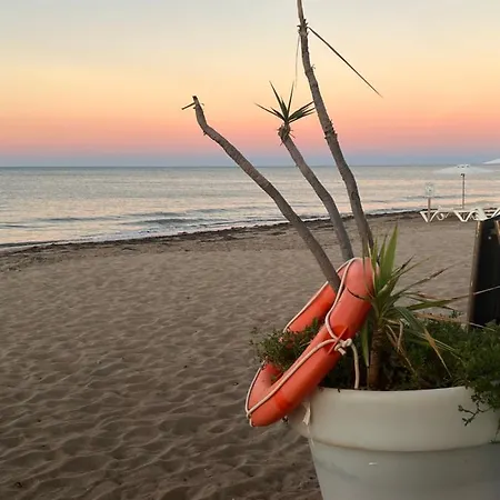 公寓 Piso Angeles - 1ra Linea De Playa 德尼亚